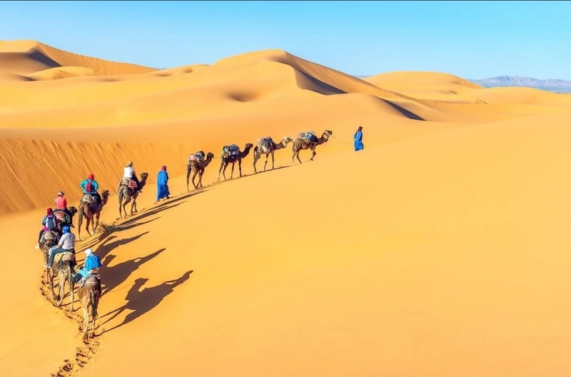 Châu Phi là châu lục rộng lớn, nổi tiếng với sa mạc Sahara, thiên nhiên hoang dã và văn hóa đa dạng. 