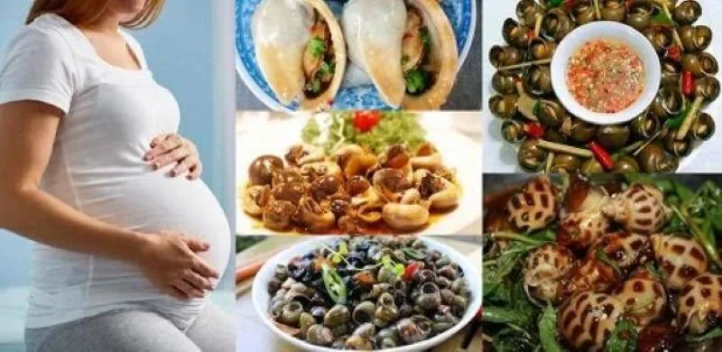 Bầu có ăn ốc được không – Giải mã dưới góc độ y khoa