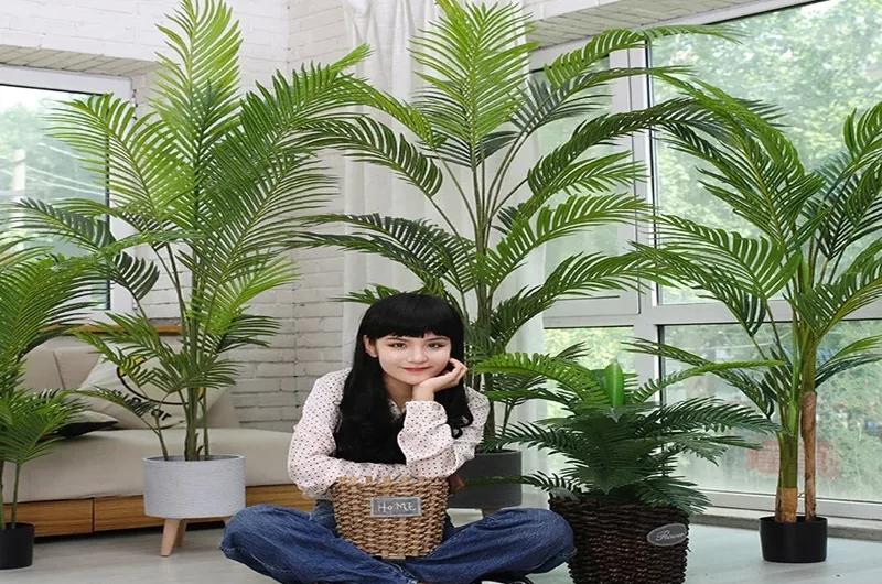 Mệnh Mộc hợp màu gì? – Cẩm nang phong thủy toàn diện về màu sắc